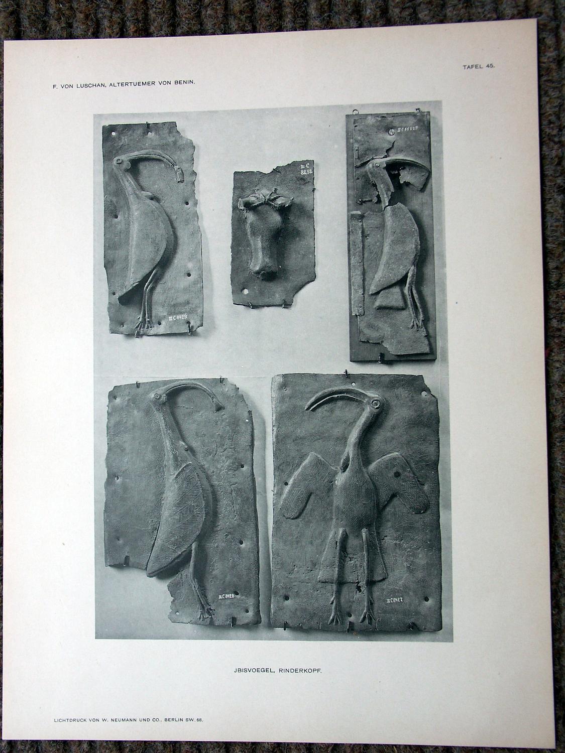 zz-lusc19,tafel 45 benin nigeria,bronze-platte mit ibis-vogel (b-iiic0